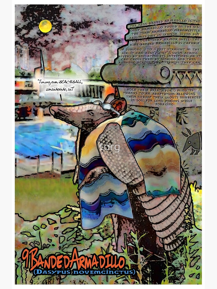 "9Banded Armadillo "Swimming Inflatables"" Poster for Sale by Redbubble