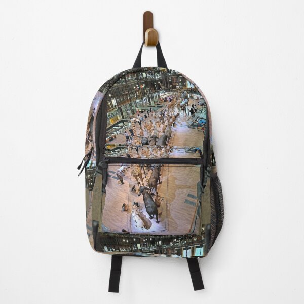 Item preview, vr 3368 / finition 2023 - 5 - " Jardin des Plantes Paris " La Grande Marche de l'évolution "  - Okaio Créations  Olavia-Olao  designed and sold by o.okaïo.