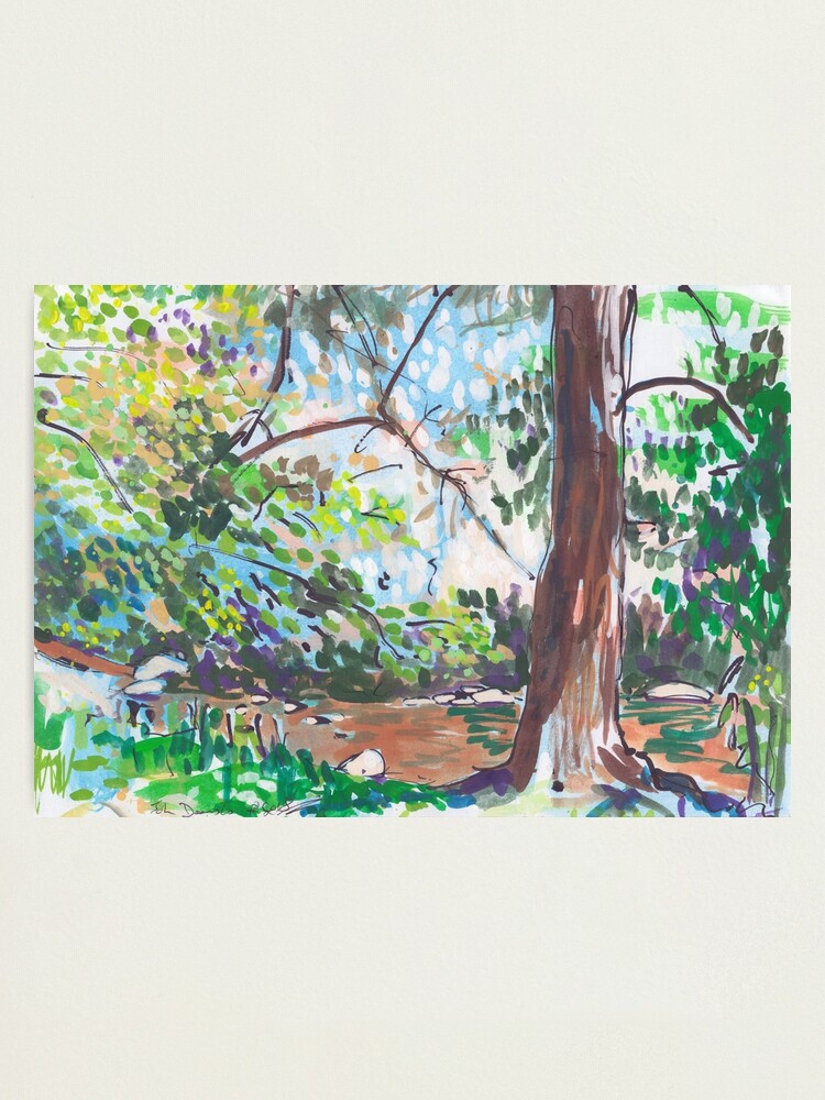 Alternate view of Lake Placid Photographic Print