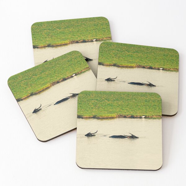 Item preview, The nature and once big buffalo  designed and sold by JaJaptvshop98.
