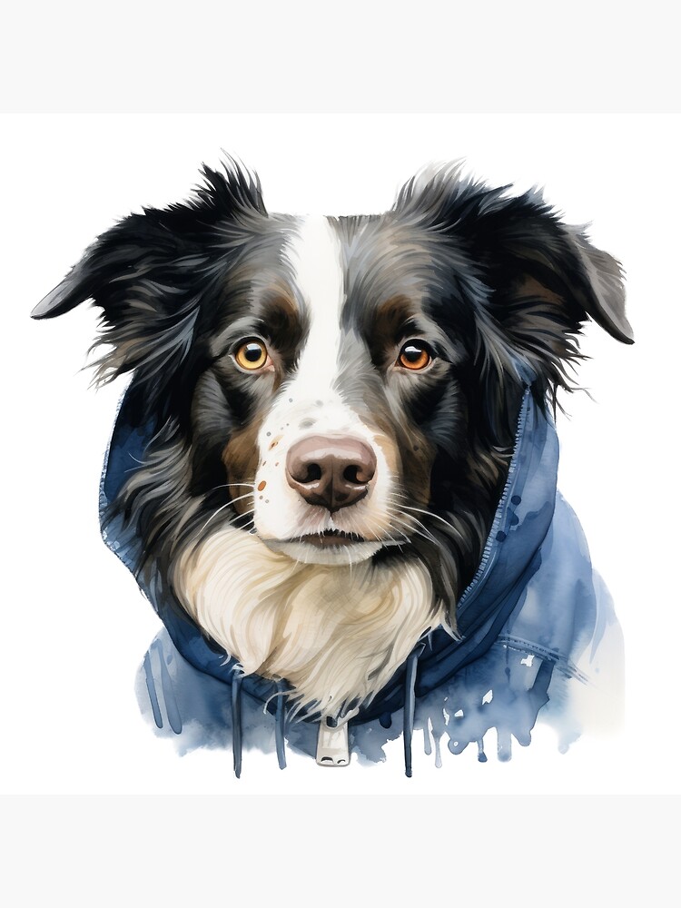 Border collie outlet hoodie