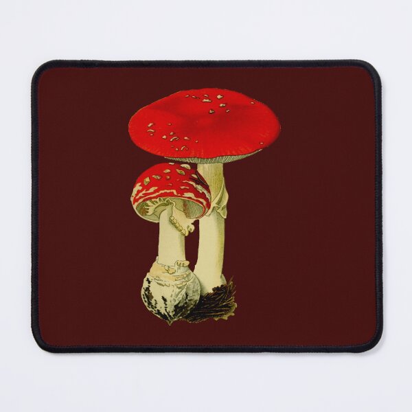Item preview, Amanita Muscaria T-Shirt designed and sold by Beyond The Veil.