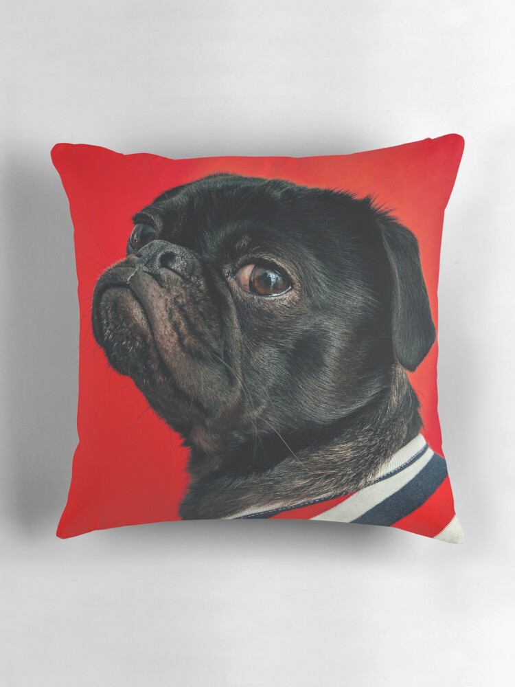 Grumpy Black Pug on a Red Background Side Eye Funny Image Pillow for Sale by chillchar1234 Redbubble