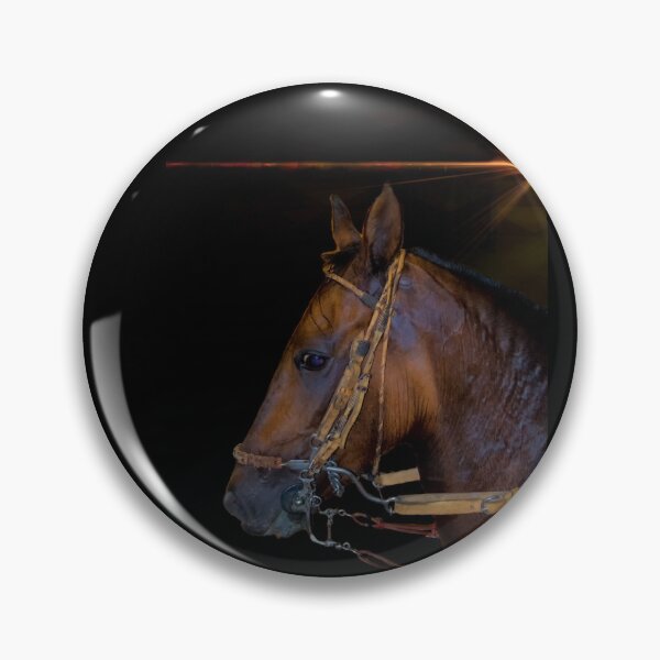 Item preview, The Paso Fino Horse Is Amazing designed and sold by alabca.