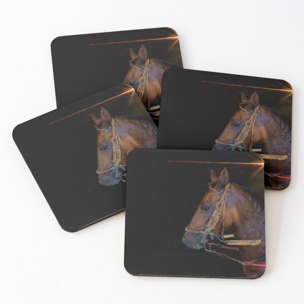 Item preview, The Paso Fino Horse Is Amazing designed and sold by alabca.