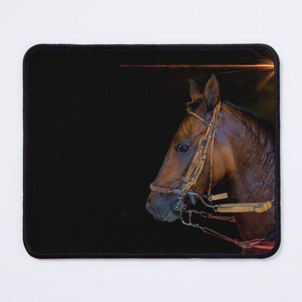 Item preview, The Paso Fino Horse Is Amazing designed and sold by alabca.