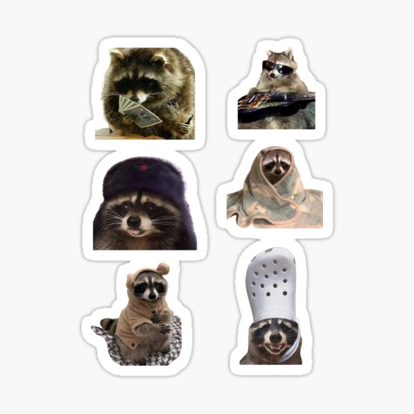 Item preview, Cute/funny Raccoon tiktok meme pack sticker bundle designed and sold by StyxsStore.
