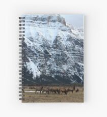 Elk Herd at Waterton Spiral Notebook