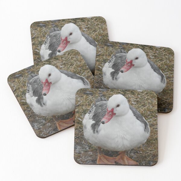 Item preview, Muscovy Duck designed and sold by imphavok.