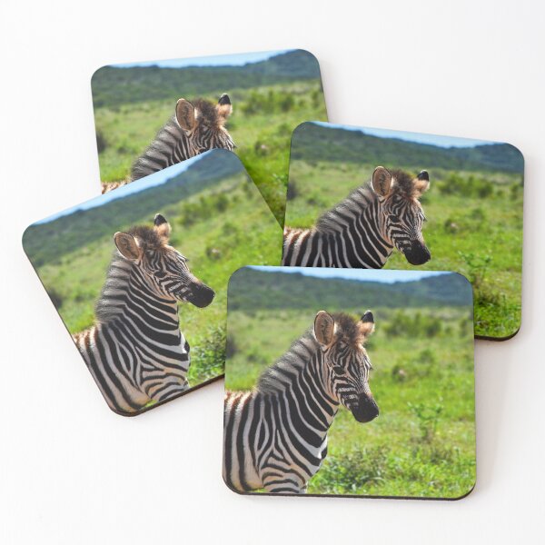 Item preview, Baby Zebra with Pricked Ears | wildlife photography designed and sold by Mii-pics.