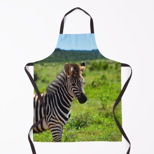 Item preview, Baby Zebra with Pricked Ears | wildlife photography designed and sold by Mii-pics.