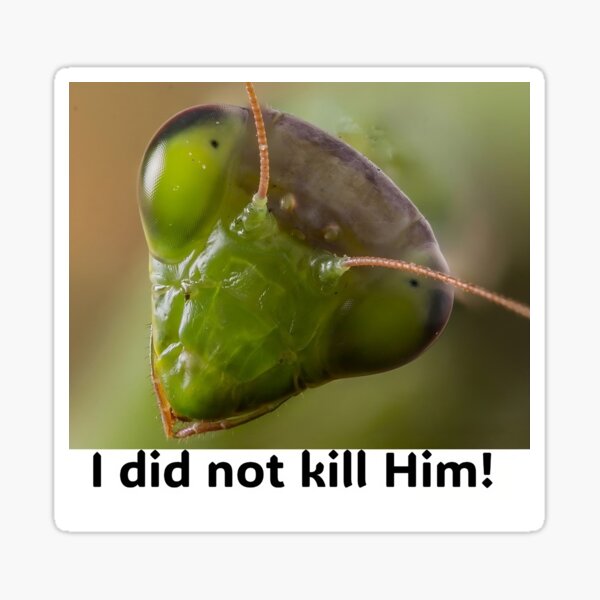 Mantis, i did not Sticker