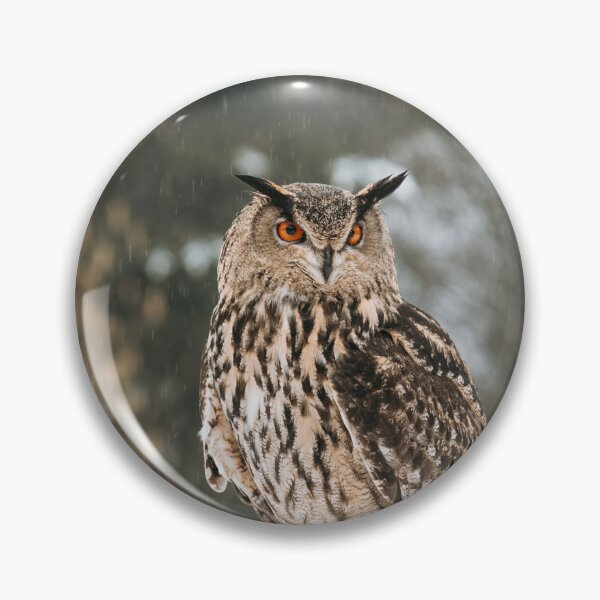 Item preview, Eurasian eagle-owl designed and sold by Margriet Photography .