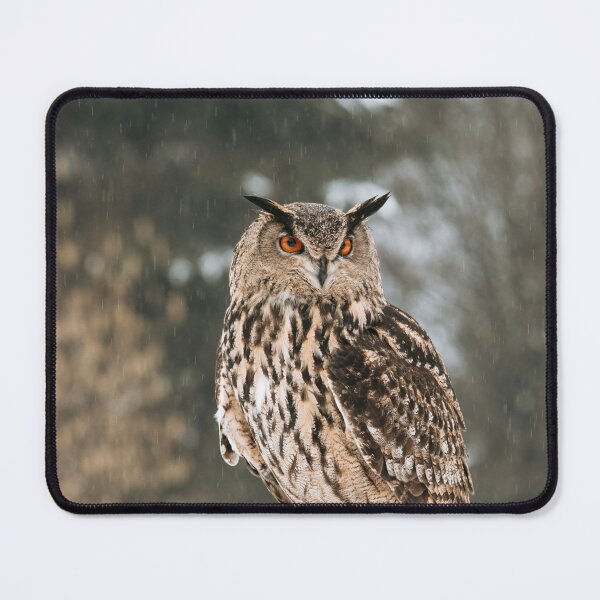 Item preview, Eurasian eagle-owl designed and sold by Margriet Photography .