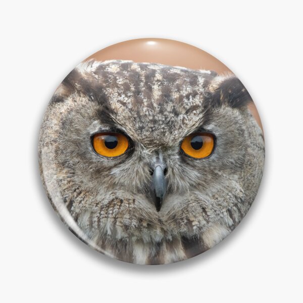 Item preview, Eurasian eagle-owl designed and sold by Margriet Photography .