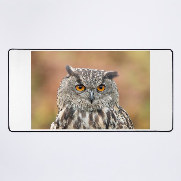 Item preview, Eurasian eagle-owl designed and sold by Margriet Photography .