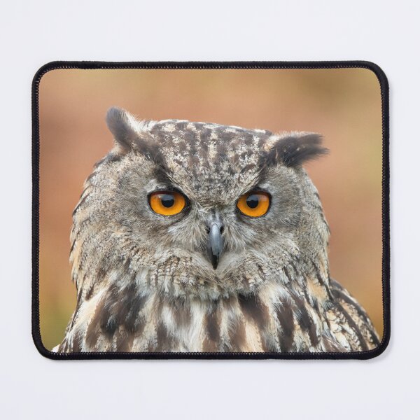 Item preview, Eurasian eagle-owl designed and sold by Margriet Photography .