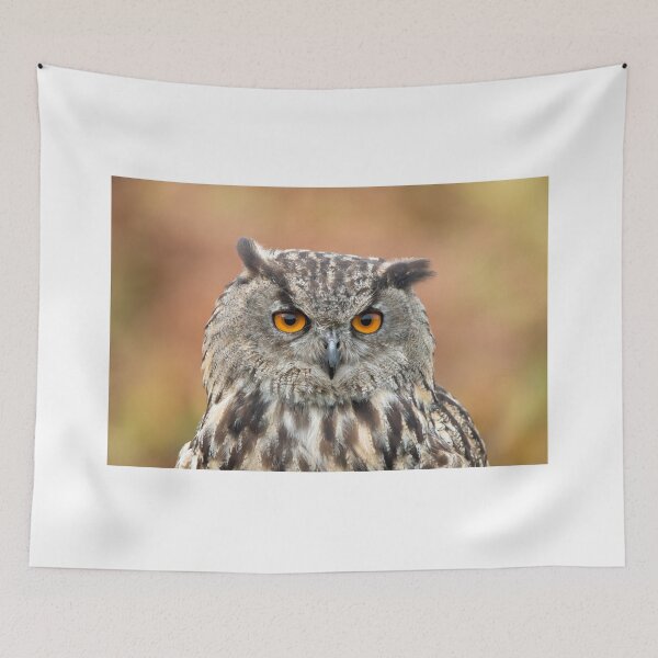 Item preview, Eurasian eagle-owl designed and sold by Margriet Photography .