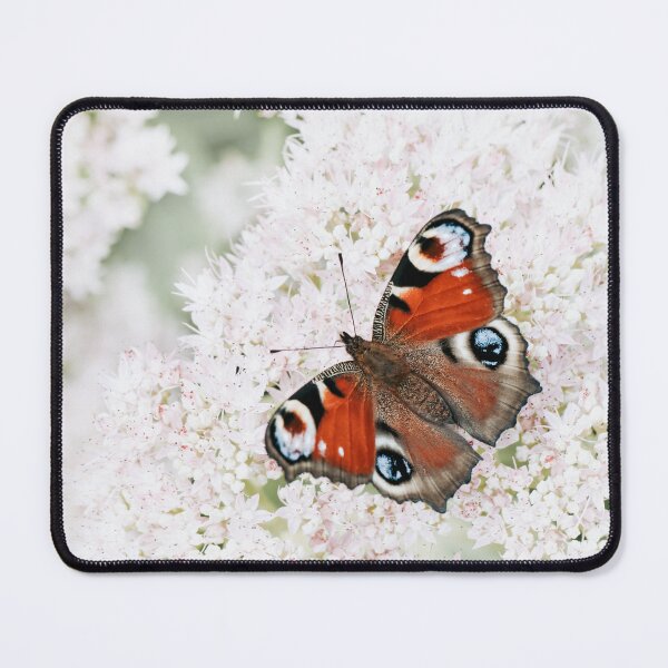 Item preview, Peacock butterfly designed and sold by Margriet Photography .
