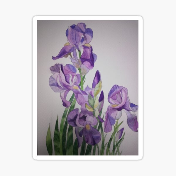 Item preview, Watercolour purple irises with a light background  designed and sold by esvb.