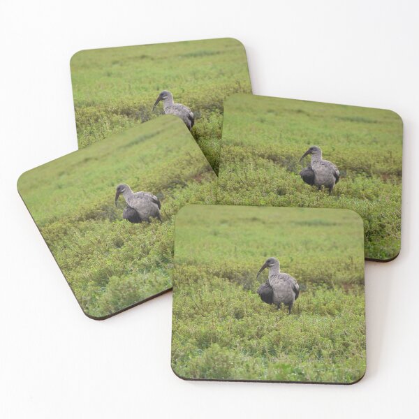 Item preview, Exotic bird in South Africa | wildlife photography designed and sold by Mii-pics.