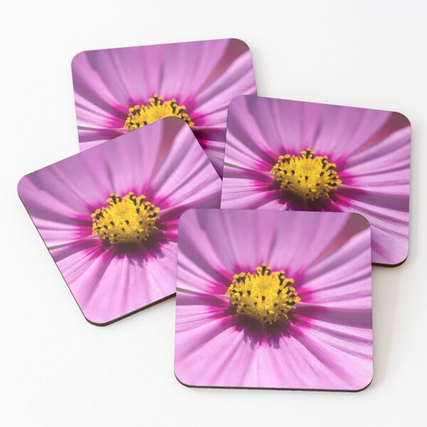 Aperçu de l'œuvre Copie de Cosmos Fleurs Coreopsideae X150 créée et vendue par RichFrancoCars.