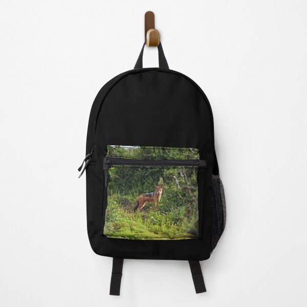 Item preview, A Jackal in the Wilderness | wildlife photography designed and sold by Mii-pics.