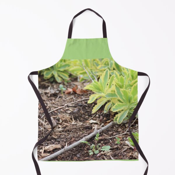Item preview, Sedum Green designed and sold by ancientolivine.