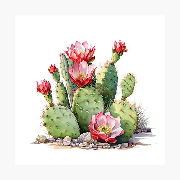 Item preview, Blooming Cacti designed and sold by StardustMaia.