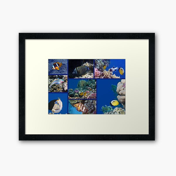 Red Sea Collage 1 Framed Art Print