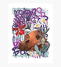 Graffiti Gorilla Philosopher Monkey Black Jungle Photographic Print