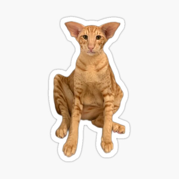 Item preview, Derpy Keebler designed and sold by Hautecatture.