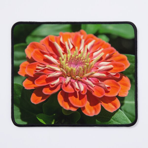 Item preview, Red-Orange Flower, Leaves And Ladybug designed and sold by DEC02.