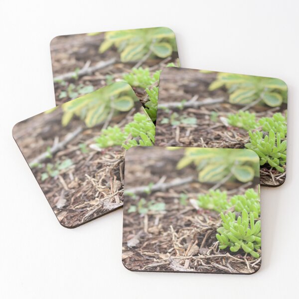 Item preview, Spri(n)g designed and sold by ancientolivine.