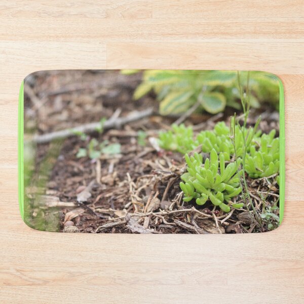 Item preview, Spri(n)g designed and sold by ancientolivine.