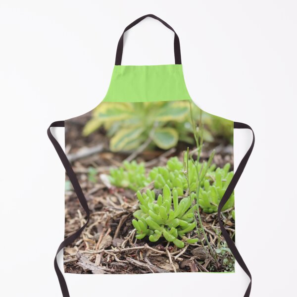 Item preview, Spri(n)g designed and sold by ancientolivine.
