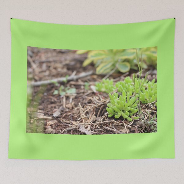 Item preview, Spri(n)g designed and sold by ancientolivine.