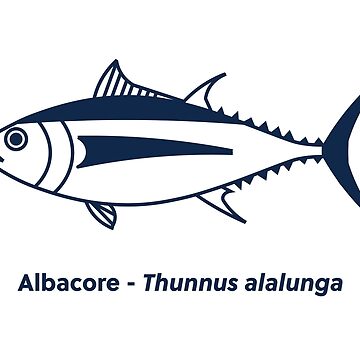  Albacore Tuna Beautiful Fish Decal