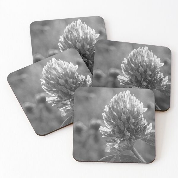 Item preview, Clover Flower at Sunrise V4 designed and sold by Family Journey with God.