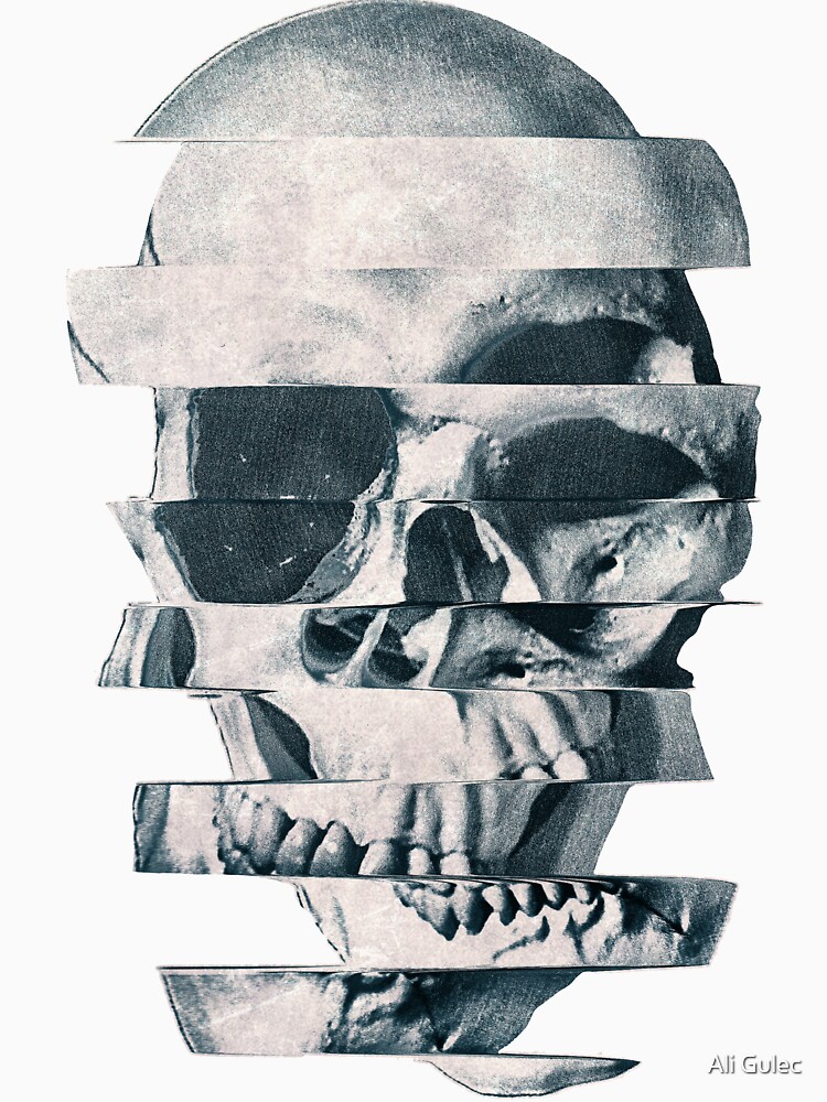 Glitch Skull Mono by aligulec