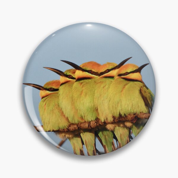 Item preview, Rainbow Bee eater 5 pack designed and sold by Mark Grimsley.