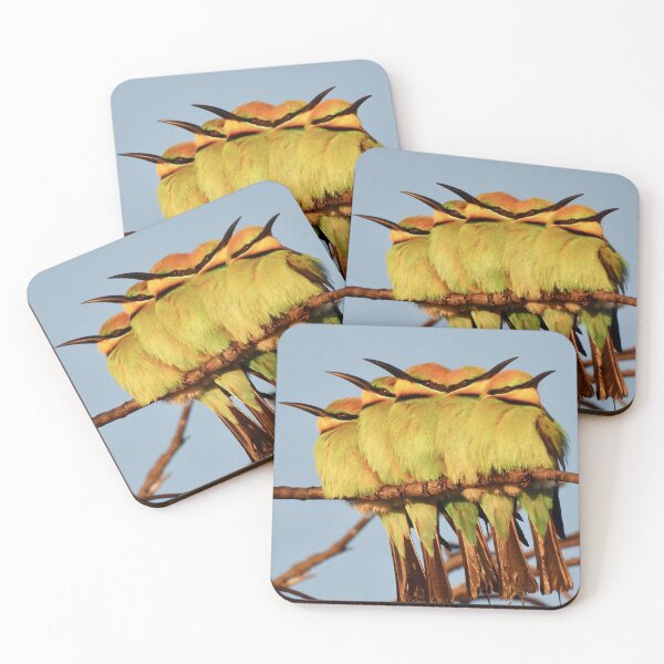 Item preview, Rainbow Bee eater 5 pack designed and sold by Mark Grimsley.