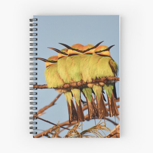 Item preview, Rainbow Bee eater 5 pack designed and sold by Mark Grimsley.