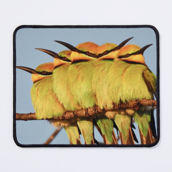 Item preview, Rainbow Bee eater 5 pack designed and sold by Mark Grimsley.