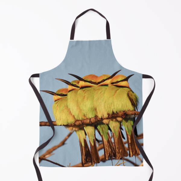 Item preview, Rainbow Bee eater 5 pack designed and sold by Mark Grimsley.