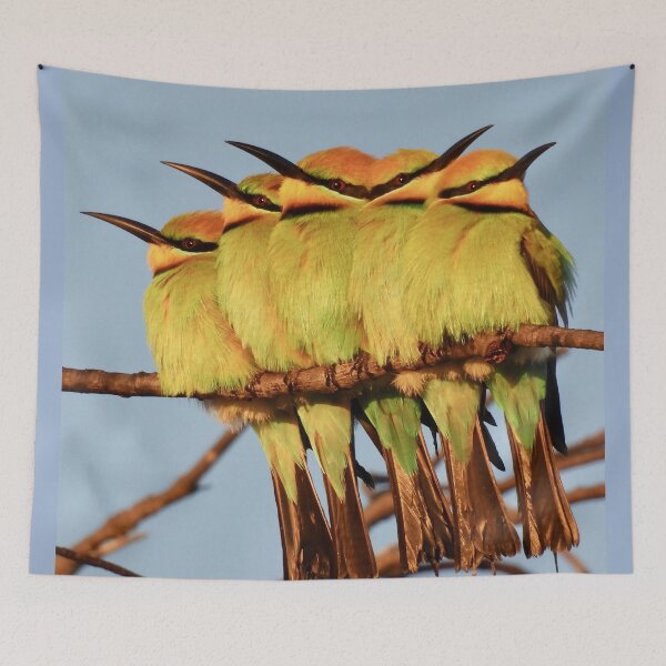Item preview, Rainbow Bee eater 5 pack designed and sold by Mark Grimsley.