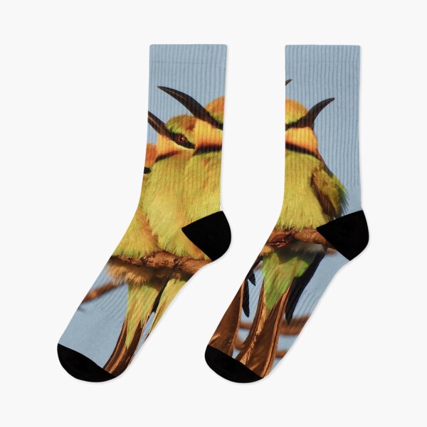 Item preview, Rainbow Bee eater 5 pack designed and sold by Mark Grimsley.