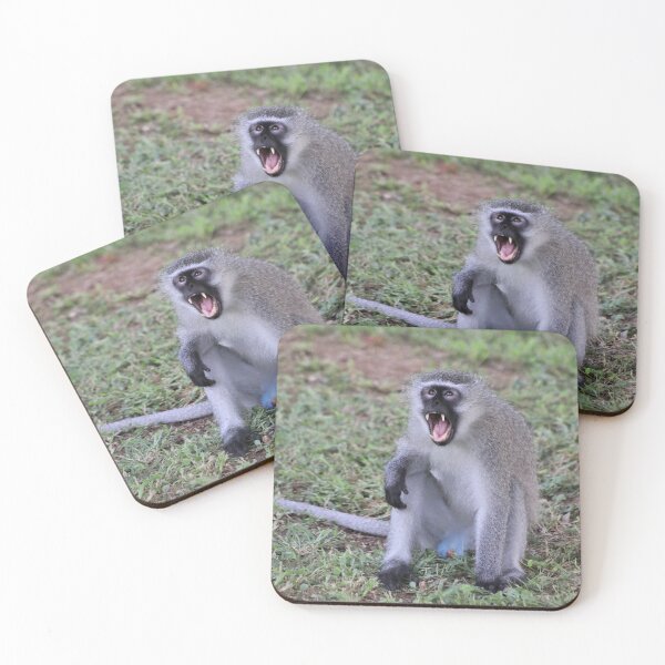 Item preview, Calling African Vervet Monkey designed and sold by McGingPhotos.
