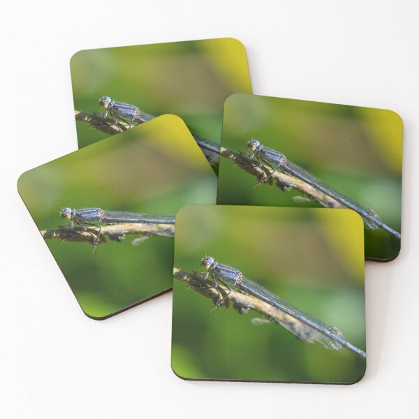 Item preview, Dragonfly 2 designed and sold by Jacquiamber.