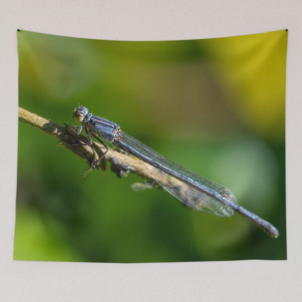 Item preview, Dragonfly 2 designed and sold by Jacquiamber.